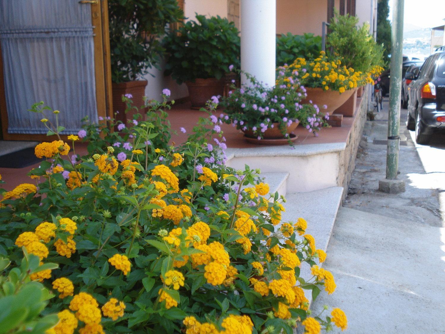 Hotel La Lampara Golfo Aranci Luaran gambar